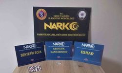 Ordu'da yasaklı madde operasyonlarında 4 tutuklama
