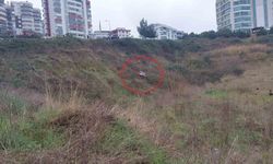 Otomobil 10 metre aşağıya uçtu: 1 yaralı