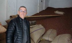 Ramazan Bayramı öncesi fındık fiyatları 240 liraya geriledi