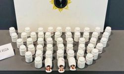 Samsun'da 3 ilçede yabancı madde operasyonu