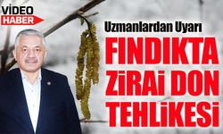 Fındık Üreticileri Alarmda: Zirai Don Riski Devam Ediyor Uzmanlar Uyarıyor!