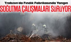 Trabzon’da Fabrika Yangını Kontrol Altına Alındı Soğutma İşlemleri Devam Ediyor: İnceleme Başlatıldı