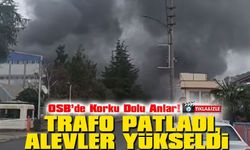 Arsin OSB’de Korkutan Yangın: Fındık Fabrikasında Trafo Patladı!