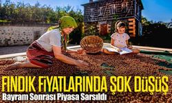 Fındık Fiyatlarında Şok Düşüş: Bayram Sonrası Piyasa Sarsıldı