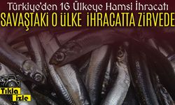 Savaş Devam Ediyor Ama Hamsi İhracatında Ukrayna Türkiye’nin En Büyük Pazarı Oldu