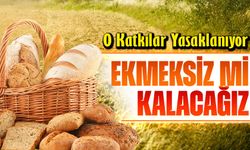 Ekmekte Büyük Değişim! O Katkılar Yasaklanıyor