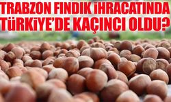 Doğu Karadeniz’in Altını: Trabzon’dan Fındık İhracatı Artıyor