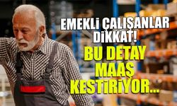 Emekli Çalışanlar İçin Kritik Uyarı: Bu Detay Maaşı Kestiriyor