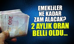 Emekliler Ne Kadar Zam Alacak? Oran Belli Oldu...