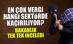 Bakanlık Tek Tek İnceledi: İşte Vergi Kaçakçılığında Şampiyon Sektör!