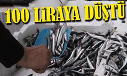 Trabzon Tezgahlarında Hamsi Bereketi: Fiyat 100 Liraya Düştü