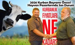 2026 Kurban Bayramı Öncesi Hayvan Pazarlarında Son Durum; Kurbanlık Fiyatları Ne Kadar