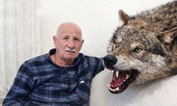 Kar Temizlerken Kurt Saldırdı: 70 Yaşındaki Vatandaş Son Anda Kurtarıldı