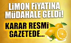 Limon Fiyatına Müdahale Geldi! Karar Resmi Gazetede...