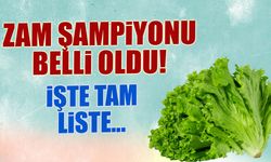 Şubat Ayı Zam Şampiyonu Belli Oldu! İşte Tam Liste...