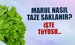 Marul Nasıl Taze Saklanır? İşte Tüyosu...