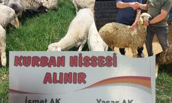 Oflu Besiciden Örnek Karar: Hayat Pahalılığına resti çekti