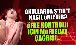 Okullarda Şiddet Alarmı: Uzmanlardan Radikal Müfredat Çağrısı!