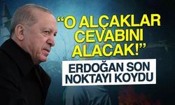 Erdoğan'dan Nevruz Çıkışı: "O Alçaklar Cevabını Alacak"
