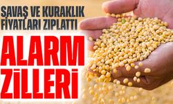 Buğdayda Alarm Zilleri! Savaş ve Kuraklık Fiyatları Zıplattı