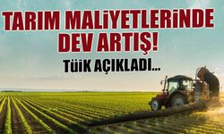 Çiftçinin Yükü Ağırlaşıyor: Tarım Maliyetlerinde %30'u Aşan Artış!