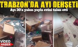 Trabzon’da ayı dehşeti: Tonya’da yayla evine giren ayı ortalığı dağıttı