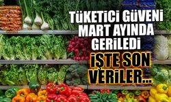 Tüketici Güveni Mart Ayında Geriledi: İşte Son Veriler