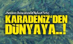 Türk Somonuna Büyük Talep: İhracat 91 Milyon Doları Geçti