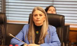 Suiçmez’den gazlı müdahale için Meclis’e soru önergesi