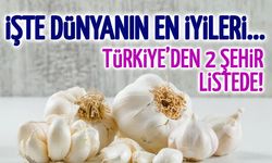 Dünyanın En İyi Sarımsakları Seçildi: Türkiye İlk 5’te!
