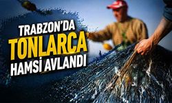 Trabzon balıkçılığında güçlü sezon: 21 bin tonun üzerinde hamsi avlandı