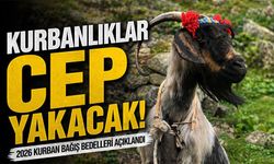 2026 Kurban Bağış Bedelleri Açıklandı ; İşte Diyanetin Açıkladığı Yurt İçi ve Yurt Dışı Fiyatlar