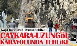 Çaykara-Uzungöl Karayolunda Tehlike: Kaya Düşmesi Ulaşımı Etkiledi