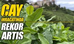 Türk çayına küresel talep artıyor: İlk çeyrek verileri açıklandı