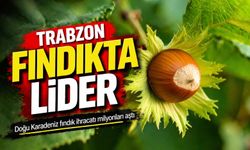 Doğu Karadeniz fındık ihracatı 379 milyon dolara ulaştı; Trabzon Lider Oldu