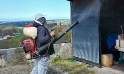 19 Mayıs'ta kahverengi kokarca ile mücadele çalışmaları sürüyor