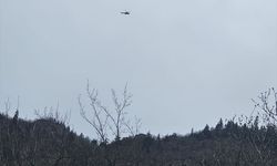 Artvin'de kayalıklardan düşerek yaralanan kişi kurtarıldı