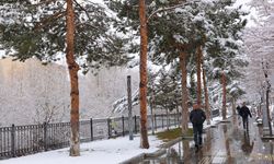 Bayburt'ta kar etkili oluyor