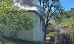 Espiye'de müstakil evde çıkan yangında hasar oluştu