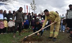 Gümüşhane'de fidanlar toprakla buluşturuldu