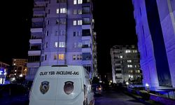 Ordu'da apartman dairesinde çıkan yangında 81 yaşındaki kişi yaralandı