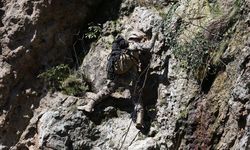 Ordu'da Polis Özel Harekat timi zorlu tatbikat ve eğitimlerle daima göreve hazır