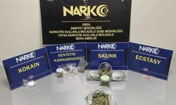 Ordu'da yasaklı madde operasyonunda 4 şüpheli tutuklandı