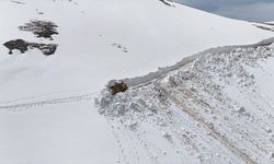 Ordu'nun yayla yollarında karla mücadele çalışmaları sürüyor
