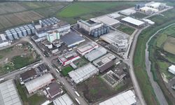 Samsun Gıda OSB'den geçen yıl yaklaşık 110 ülkeye 200 milyon dolarlık ihracat yapıldı