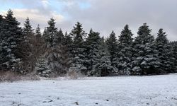 Samsun'da nisan ayında yağan kar doğayı beyaza bürüdü