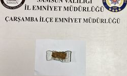 Samsun'da yasaklı madde operasyonlarında 4 zanlı yakalandı