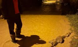 Şebinkarahisar'da sağanak etkili oldu