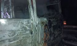 Seyir halindeki ahşap yüklü tır yandı