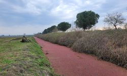 Sulama kanalındaki su yüzeyi kırmızıya dönüştü